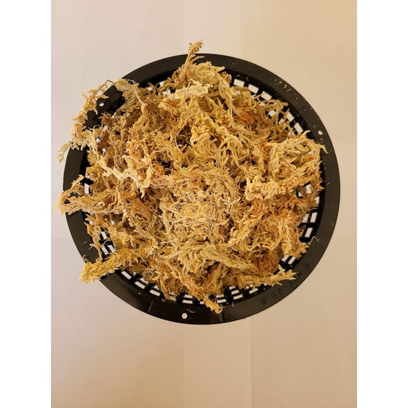 One 6 Inch Net with New Zealand Sphagnum Moss