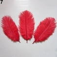 thumbnail image 4 of Walbest 15 Pcs Natural Ostrich Feathers Colored Soft Feather for Clothes Wedding Decor, 4 of 7
