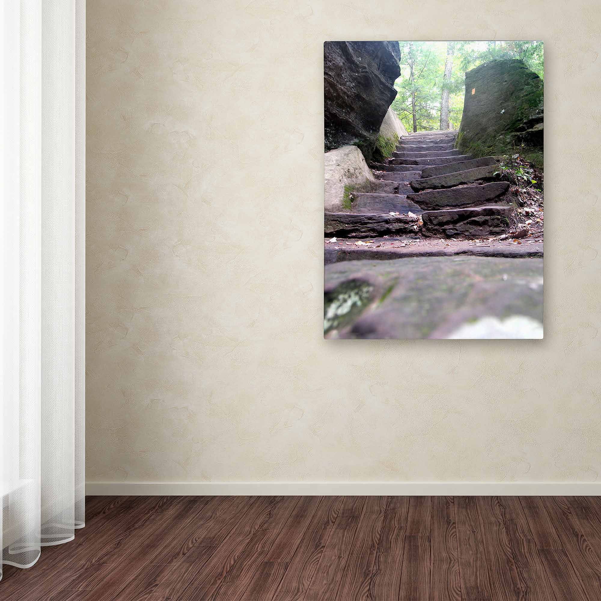 Trademark Fine Art "Endless Stairway" Canvas Art by Monica Fleet