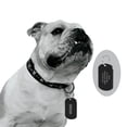 thumbnail image 6 of Beirui Personalised Dog Tag Stainless Steel Pet Dog ID Name Tags Free Engraved Plate, 6 of 10