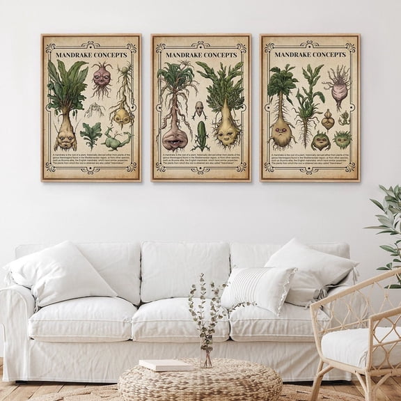 UNFFRAMED Wall Art Set Of 3 Wizard School Herbology Mandrake Botanical Prints Minimalist Modern Wall Art Vintage Decor Set 3 Prints 8x12