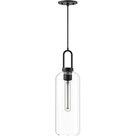 

Pendant Clear Glass/Matte Black