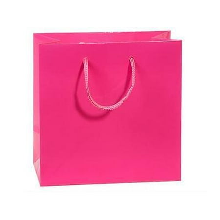 1 Unit Hot Pink Gloss Jewel Gift Bags Bulk 6 2x3 2x6 2 1 Unit Hot Pink Gloss Jewel Gift Bags Bulk 6 2x3