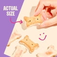 thumbnail image 5 of Wellness Old Mother Hubbard Milk Bar P'Nutty B-Day Party, Small Dog Treats, Crunchy Peanut Butter Biscuits with Birthday Icing (10 Ounce Bag), 5 of 9
