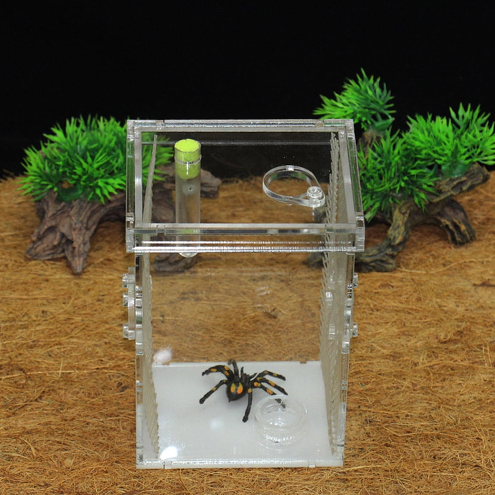 Reptile Breeding Box Breeding Tank Acrylic Feeding Box for Spider Lizard Frog Cricket Turtle Tarantula 