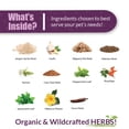 thumbnail image 6 of Amber NaturalZ Adizone C for Cats | Herbal Supplement for Mobility & Joint Support 4oz, 6 of 6
