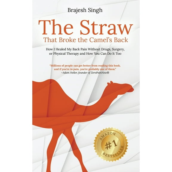 The Straw That Broke the Camel's Back, (Paperback)