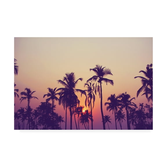 Trademark Fine Art 'Palm Sky 1 Fabrikken' Canvas Art by Design Fabrikken