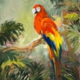 thumbnail image 2 of Slivka, Jane 12x12 Black Ornate Wood Framed with Double Matting Museum Art Print Titled - Parrots at Bay I, 2 of 4