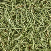 Kaytee Forti-Diet All Natural Timothy Hay , 48 ounce