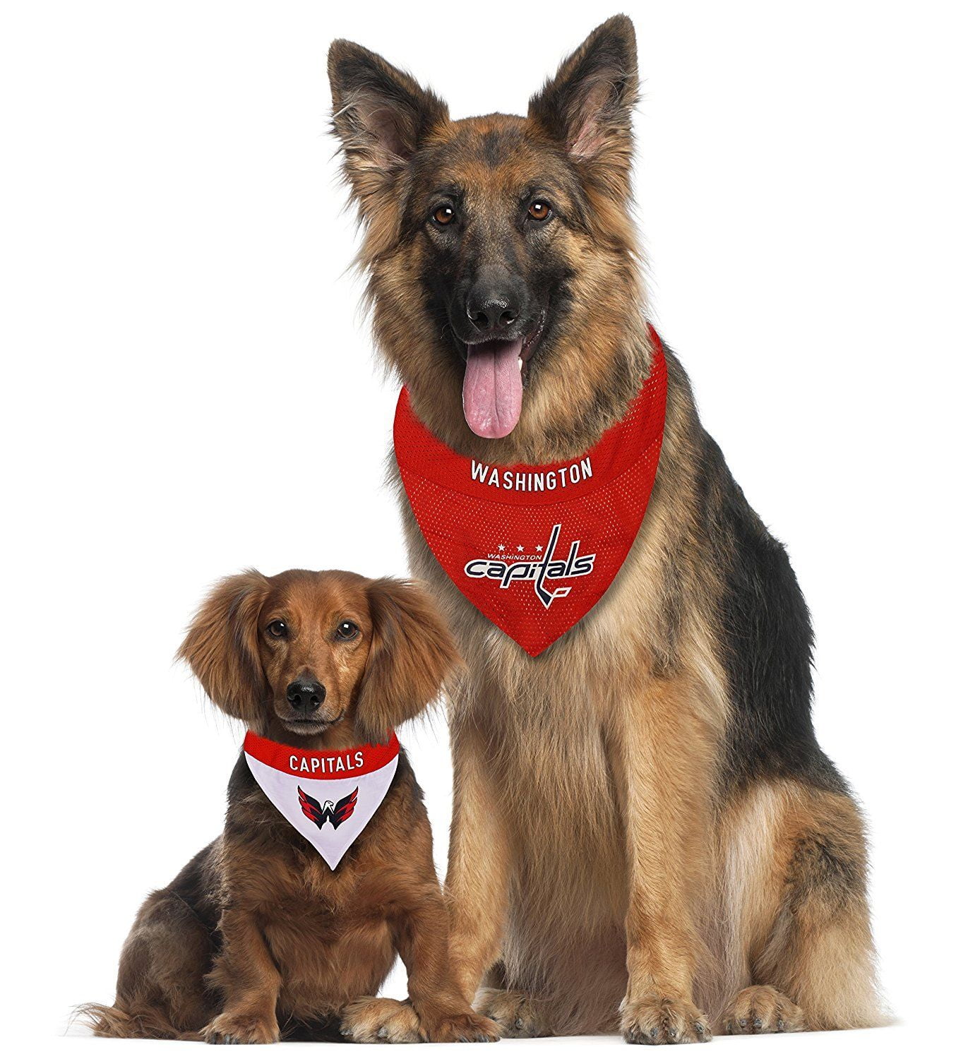 Pets First NHL Washington Capitals Bandana! NEW Reversible Pet Bandana - 2 sided Premium Bandanna