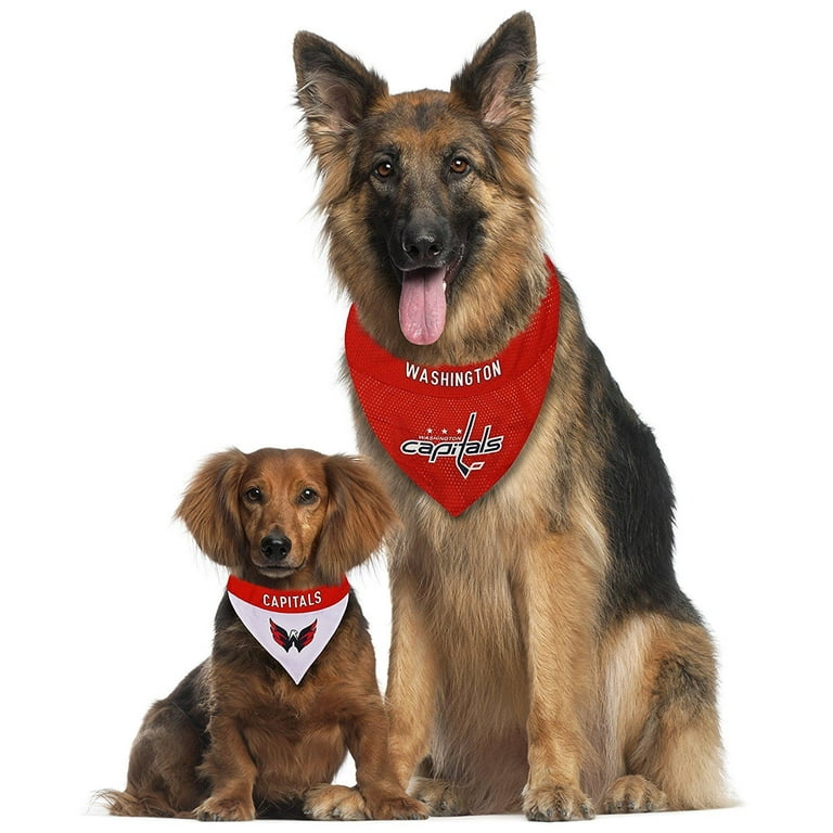 Capitals dog outlet bandana