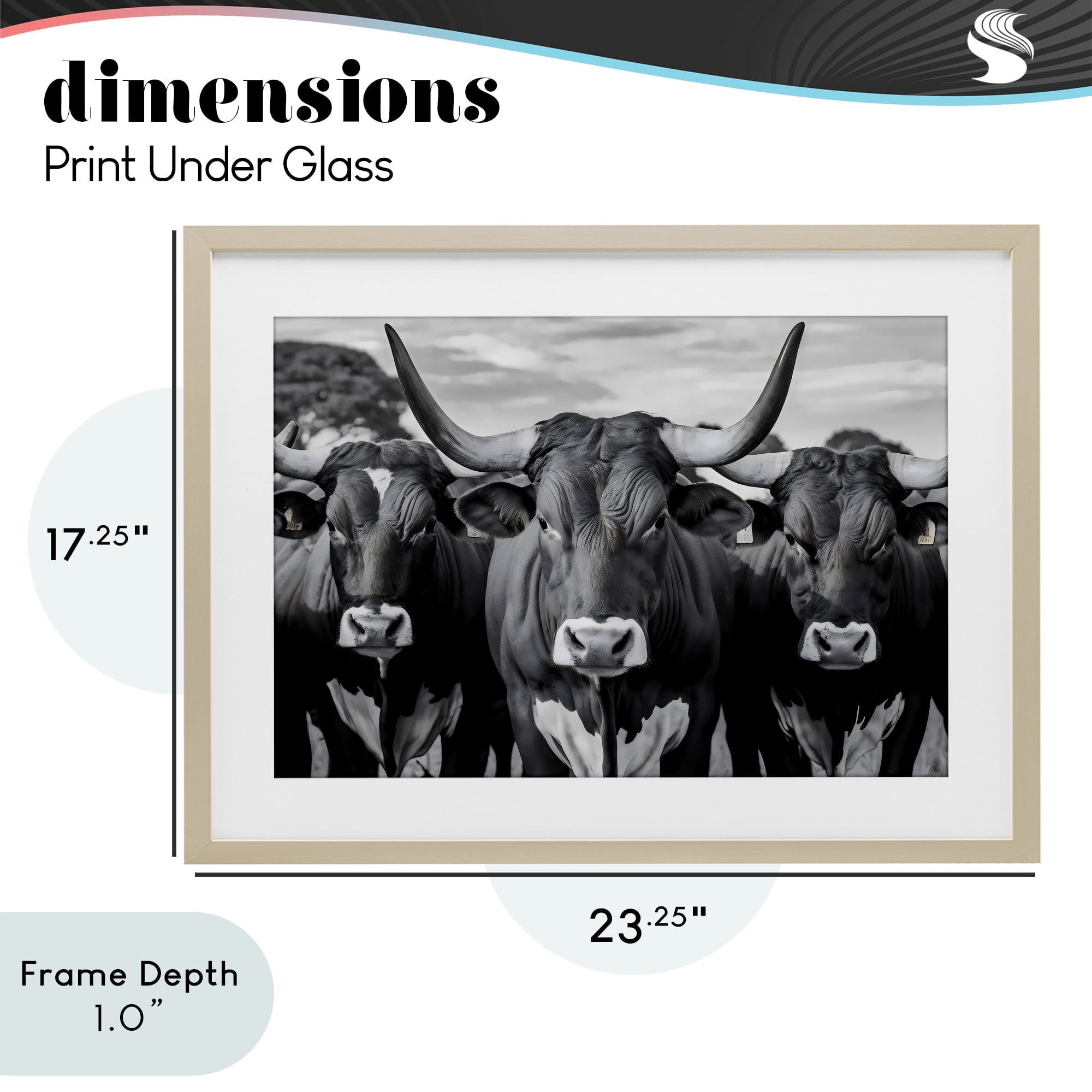 Stupell Industries Three Longhorns in a Row Birch Framed Print Under Glass, design by Creative Studio