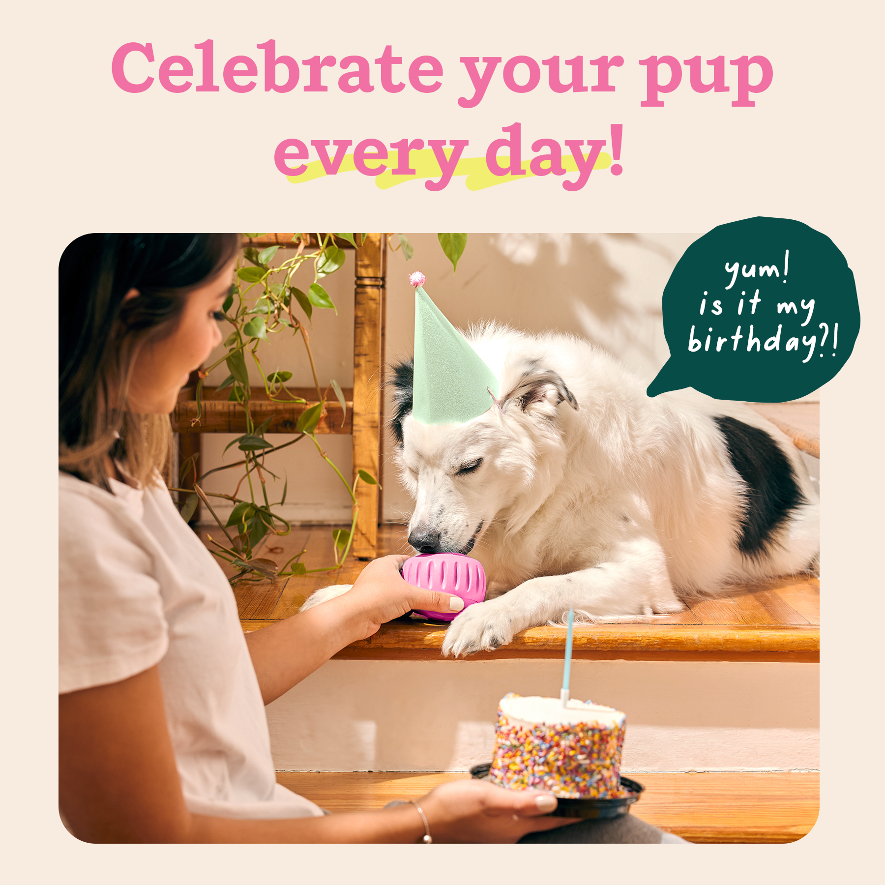 WOOF Party Pupsicle - Long-Lasting Interactive Dog Toys for Boredom - Low-Mess Design - Birthday Gift Idea - Small Dog Toys - Party Pink