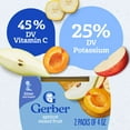 thumbnail image 4 of Gerber 2nd Foods Natural for Baby Baby Food, Apricot Mixed Fruit, 4 oz Tubs (2 Pack), 4 of 15