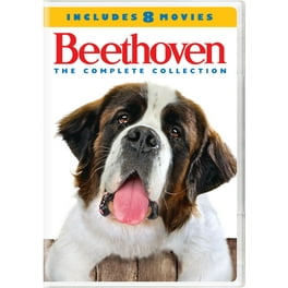 Free Shipping! Dogs 10-Movie Adventure Collection [DVD