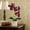 Purple, variant on Seyotauo Artificial Phalaenopsis Vegetation in Seashell Pot, Fake Orchid Flowers, Silk Faux Orchids for Home Decor, Office, Table Centerpiece, Real Touch Lifelike Indoor House Plant
