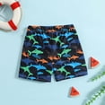 thumbnail image 4 of DJDLJWCJ Boys Summer Shorts Elastic Waist Quick Dry Loose Fit Casual Shorts for Outdoor Sports Stretch Athletic Shorts, Multicolor 18 Months, 4 of 9