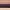 040 Green Eyes, variant on Almay Intense I-Color Eyeshadow Palette, Hypoallergenic, 020 Blue Eyes, 0.1 oz