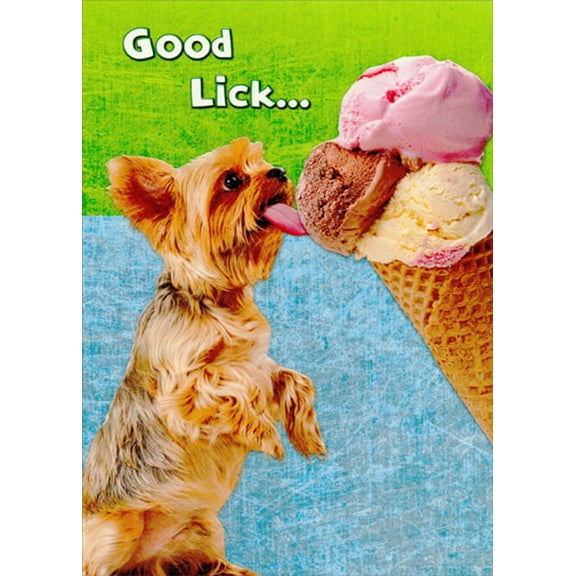 Designer Greetings Puppy Licking Ice Cream Cone Funny / Humorous Good Luck Card