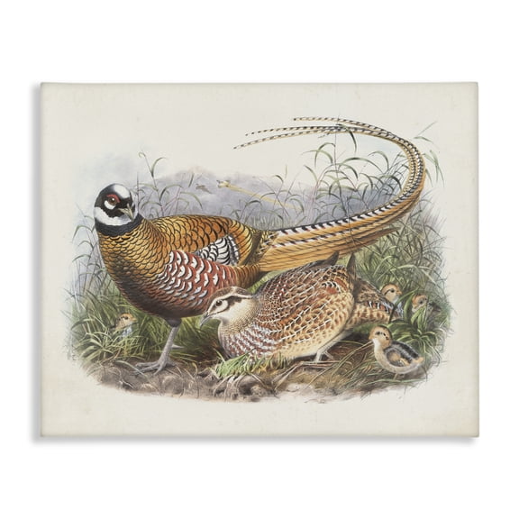 Stupell Industries Rustic Lodge Pheasant Family in Nature Canvas Art, 20 x 16, by Wild Apple Portfolio