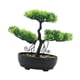 thumbnail image 4 of Bonsái Artificial Planta Falsa Decorativa Bonsái Mesa Potted PP Apariencia Natural Fácil Cuidado Adecuado para Oficina Dormitorio Escritor, 4 of 9