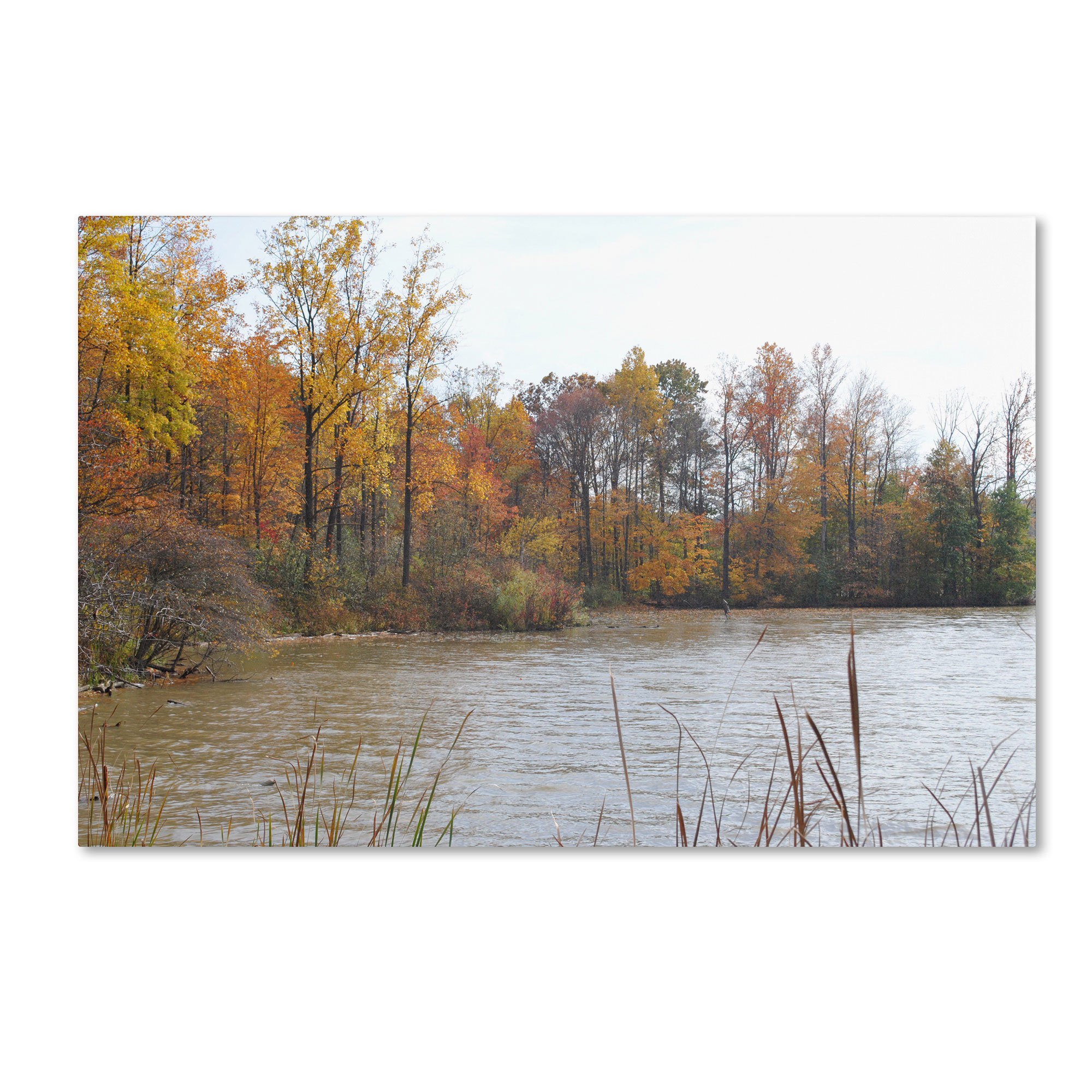 "Just a Wonder" Canvas Art by Monica Fleet