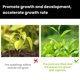 thumbnail image 4 of ¡Gran oferta! 50ml MOONSPRY solución nutritiva para plantas flores y árboles frutales planta verde fertilizante para el crecimiento de la raíz del cabello nutriente concentrado, 4 of 4