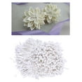 thumbnail image 3 of 1800 piezas de 3 mm Mini flores con efecto perla Estambres Pistilo Doble Cabeza Boda DIY Blanco, 3 of 9