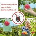 thumbnail image 2 of Nvzi 100 strawberry, grape, fruit protection bag, bird and fruit fly prevention, garden pest control, grey mesh bag, planting bag 6.7 * 9.06 in, 2 of 4