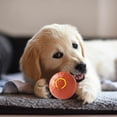 thumbnail image 5 of RKSTN Intelligent Jumping Ball Intelligent Jumping Charging and Dog Toy Pet Toy Intelligent Pet, 5 of 5