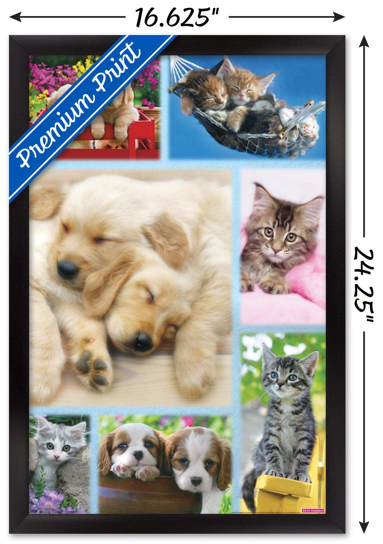 Keith Kimberlin - Puppies and Kittens Collage Wall Poster, 14.725" x 22.375", Framed