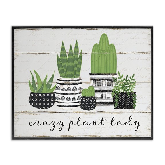 Stupell Industries Bohemian Crazy Plant Lady Cacti Succulents Wood Textured Design Black Framed Giclee Art, 14 x 11, by Jennifer Pugh