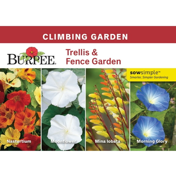 Burpee Trellis & Fence Garden Starter Garden Flower Seed Collection, 1-Pack