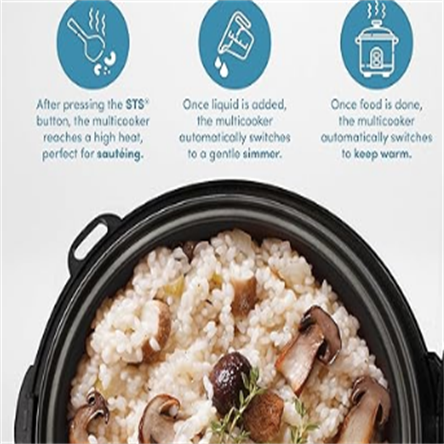 Professional Touch Glass Lid, Food Steamer, Slow Cooker, Multicooker with 11 Preset Functions, Steam Tray, Measuring Cup, Rice Spatula, 20 Cooked