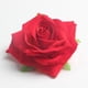 thumbnail image 3 of 10 piezas de bricolaje flores de rosas artificiales cabezas de flores decorativas de franela flor de bricolaje led decoración de de Gloria  Cabeza de flor, 3 of 9