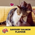 thumbnail image 4 of Temptations Savoury Salmon Flavour Soft & Crunchy Adult Cat Treats, 4 of 9
