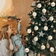 thumbnail image 4 of 12 bolas navideñas de terciopelo plateado con acabado de alambre, adorno colgante para interiores y exteriores, decoración para fiestas, bodas, Halloween, Acción de Gracias, San Valentín., 4 of 5