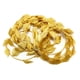 thumbnail image 5 of Diadema Hoypeyfiy Laurel Crown Gold Leaf para adulto, 5 of 7
