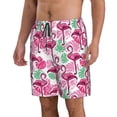 thumbnail image 2 of Goofa Flamingo Printed Mens Swim Trunks Summer Quick Dry Short Beach Swimwear Bathing Suits-Large, 2 of 9