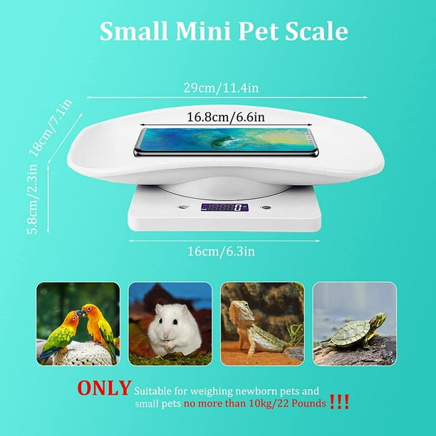 Precision Mini Pet Scale for Cats, Hamsters, Hedgehogs, Tortoises and Lizards - Small Animal Scale for Kitchen and More - 33lb Capacity - Orange