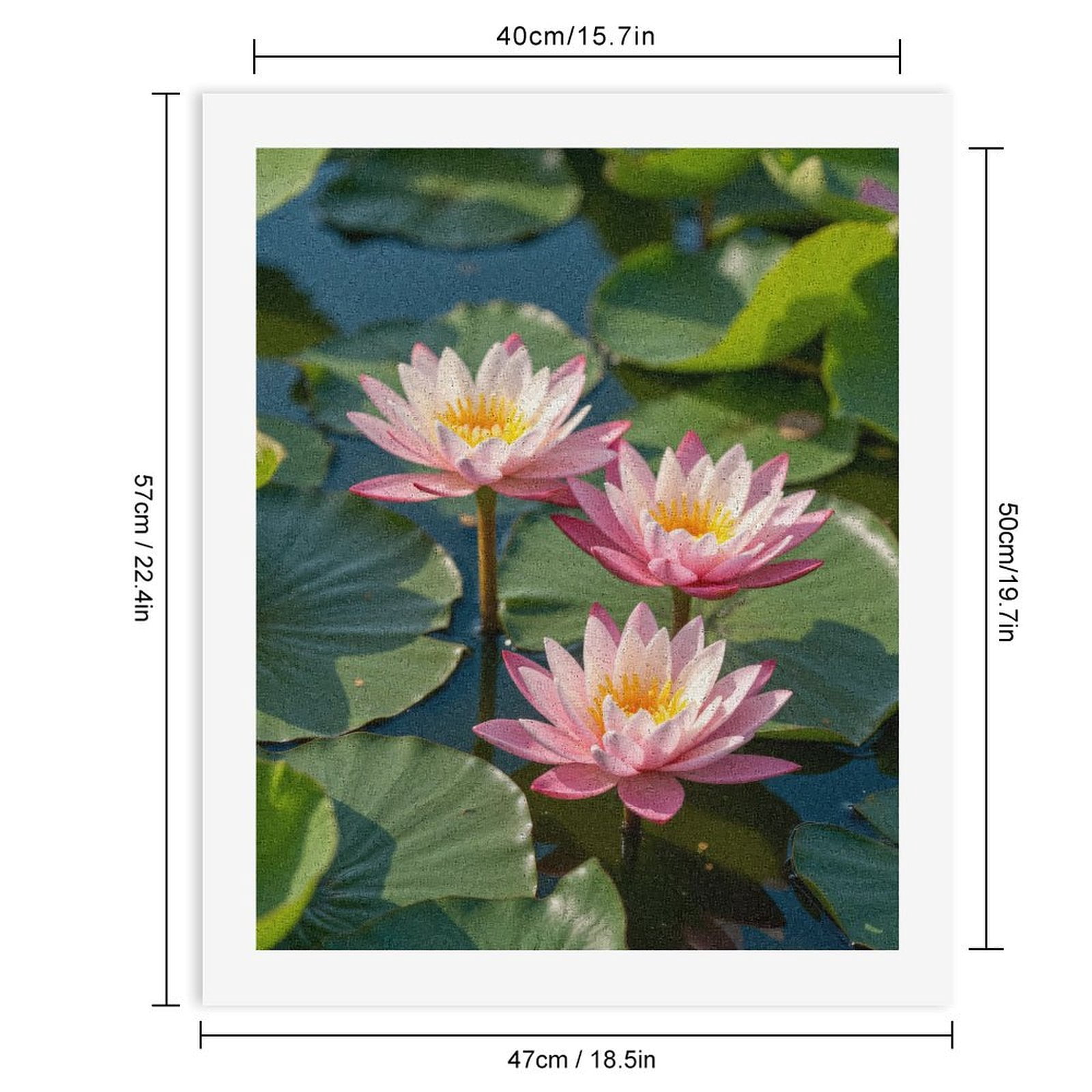 Paint by Numbers Kit for Adults, Lotus Flowers On Calm Water Paint by Numbers, Easy Paint by Numbers Kit for Adults Beginner, DIY Adult Paint by Number Kits on Canvas, 12x16in Home Decor