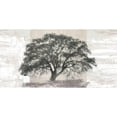 thumbnail image 3 of Aprile, Alessio 24x14 Black Modern Framed Museum Art Print Titled - Ash Tree Panel, 3 of 5