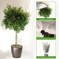 thumbnail image 3 of Fridja Warm Cover Tree Shrub Plant Protecting Bag Frost Protection Yard Garden Winter, 3 of 7