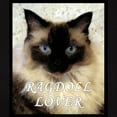 thumbnail image 3 of CafePress - Ragdoll_Lover1 T Shirt - Women's Traditional Fit Dark T-Shirt, 3 of 4