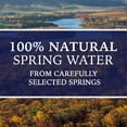 thumbnail image 3 of New Pack Deer Park 100% Natural Spring Water 16.9oz (40pk), 3 of 10