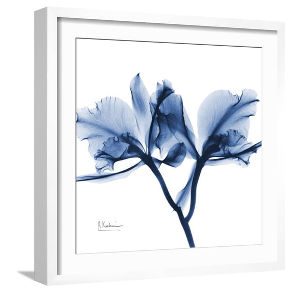 Art.com Indigo Orchid Art Print by Albert Koetsier, White Frame Wall Art, 21" x 21"