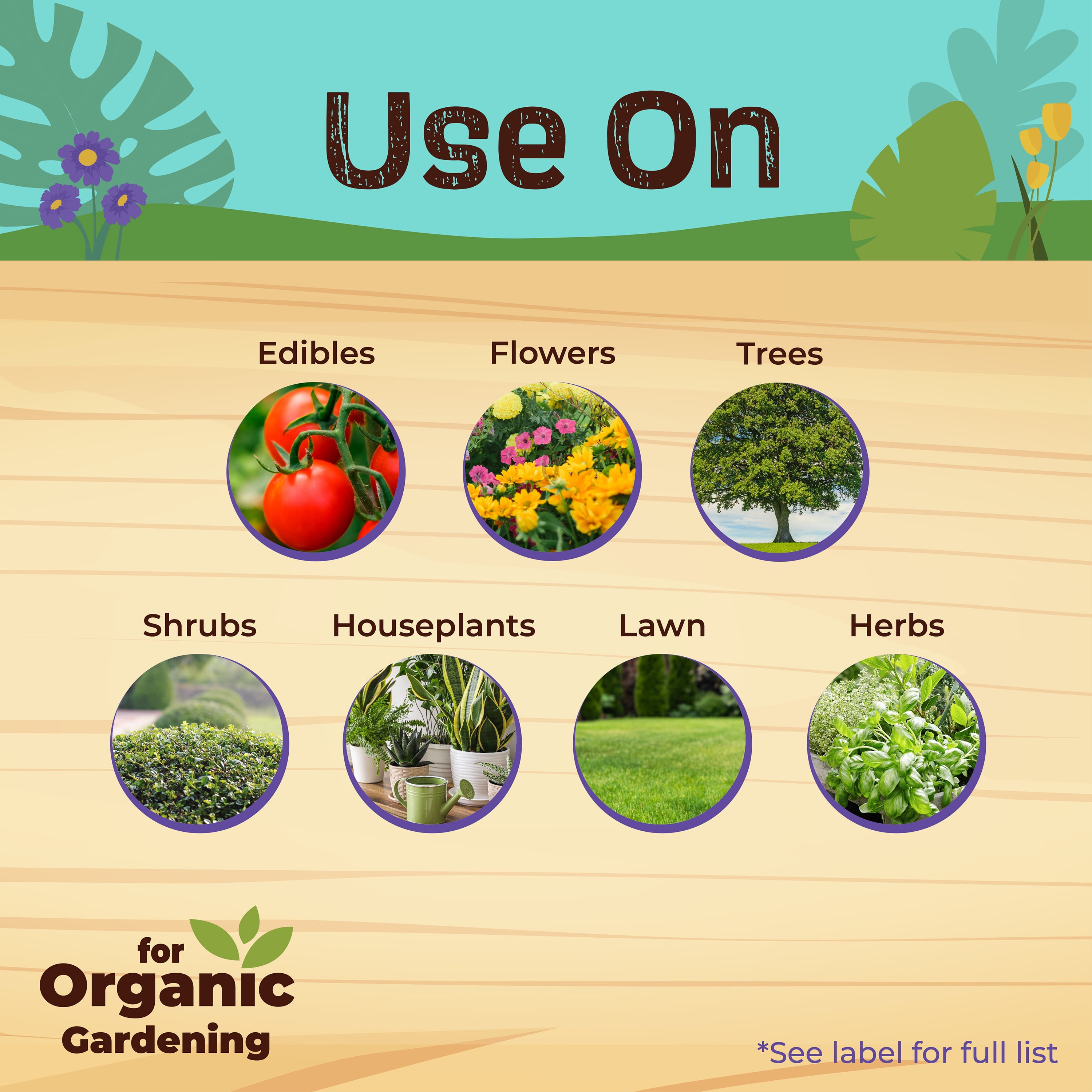 Bonide Captain Jack's 8 oz Neem Max Concentrate Controls Insects, Mites, Nematodes and Fungus