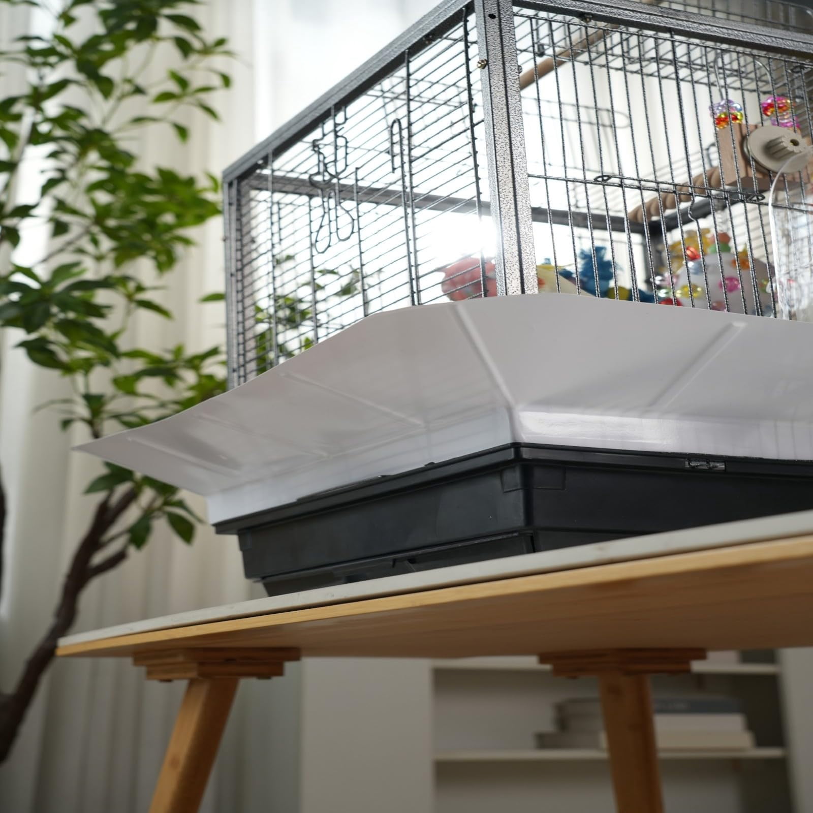 Small Bird Cage, 45 x 45 x 60 cm Travel Carrier Cage with Pull-Out Tray and 2 Perches, Metal Portable Bird Carrier with Handle, for Parrot, Budgie, Parakeet, Small Medium Birds