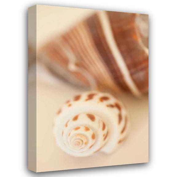 Karyn Millet 13x18 Gallery Wrapped Canvas Wall Art Titled - Shell by Shell III